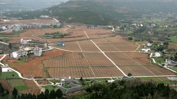 鸭脖官网|预防霉菌性阴道炎六注意