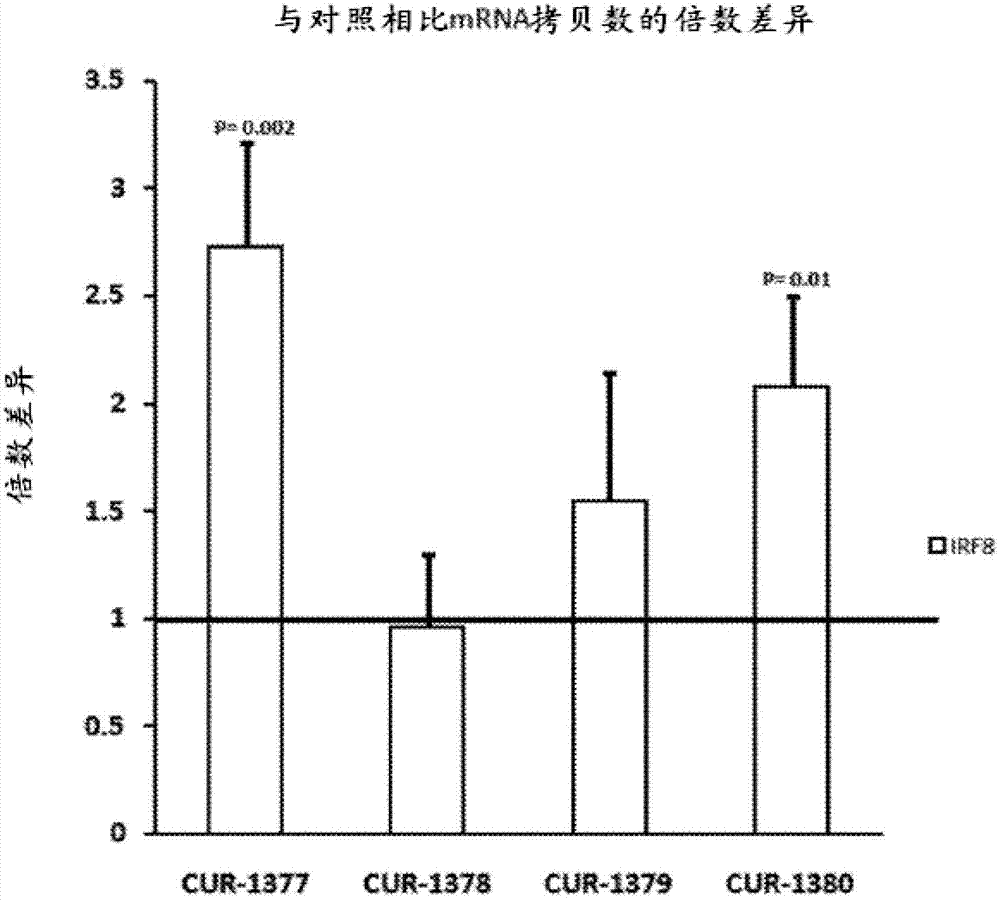 ‘鸭脖官网’宁夏:宁夏启动清真牛羊肉产业信息分析预警工作